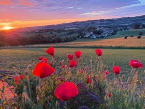 Zonsopgang boven de heuvels rond Monte Porzio