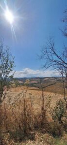 Le Marche