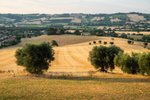 Landelijk verblijf tussen de heuvels van Le Marche