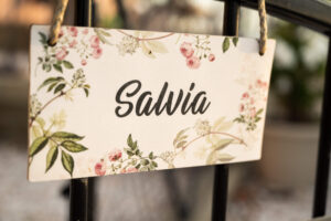 appartement Salvia
